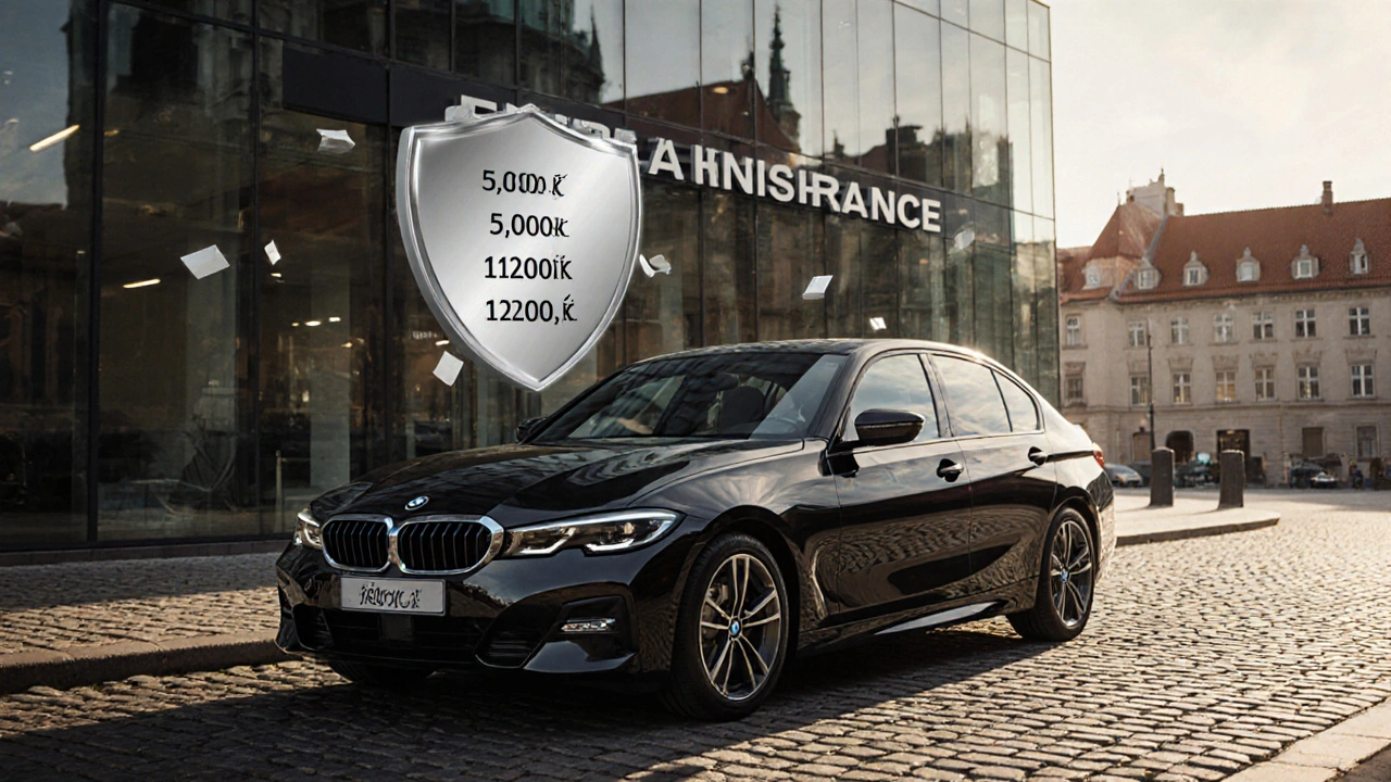 Kolik stojí pojistka na BMW? Přehled cen povinného ručení a havarijního pojištění